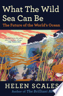 What the Wild Sea Can Be